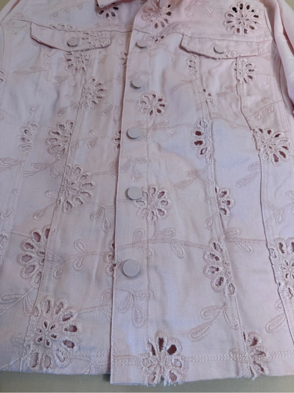 QVC Belle by Kim Gravel Pink Eyelet Mixed Media Twill Jacket Stretch Boho 2X